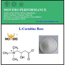 Gewichtsverlust Aminosäure L-Carnitin Base